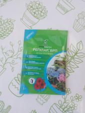 Регулар 1г